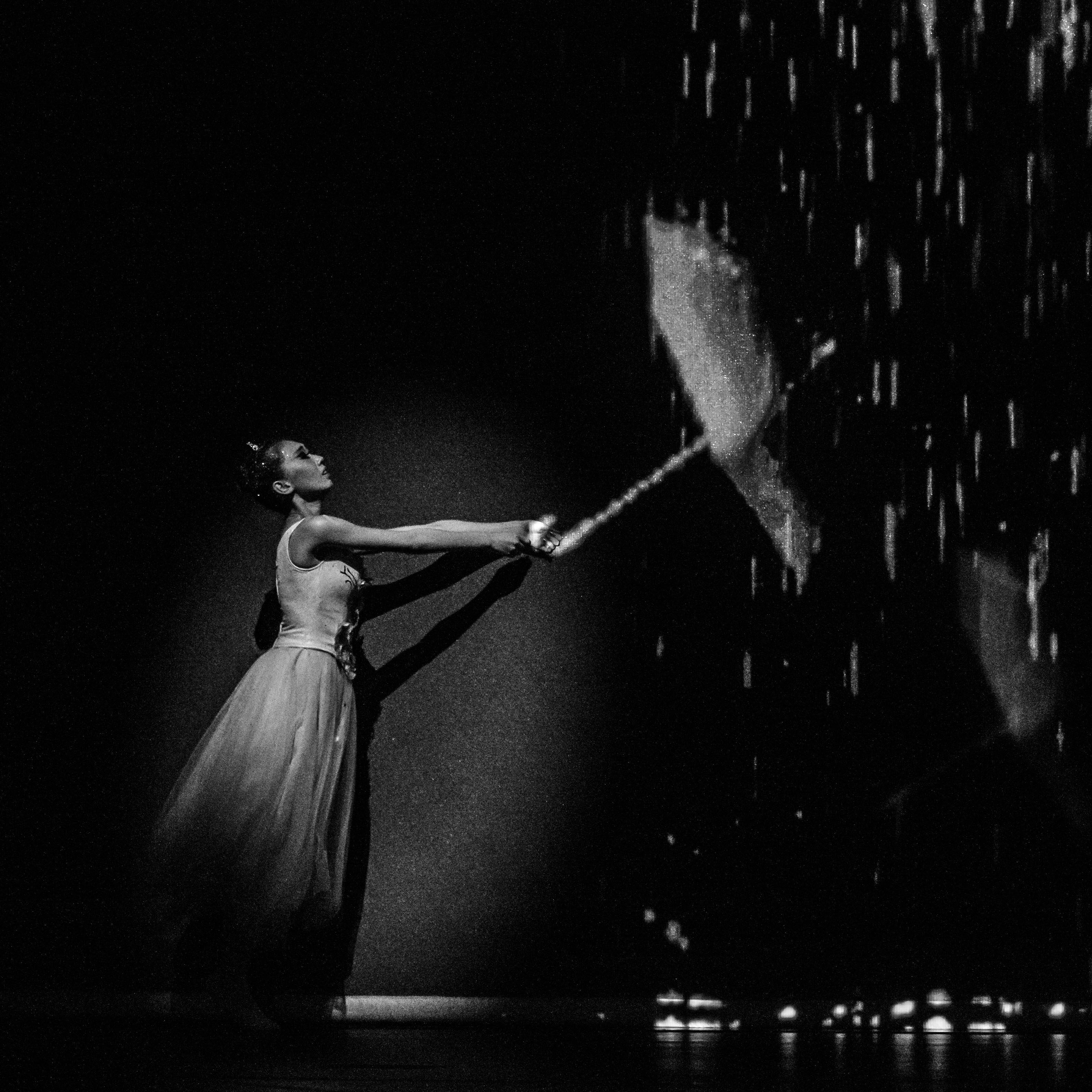 The Song of GuQin-Rain&Summer
